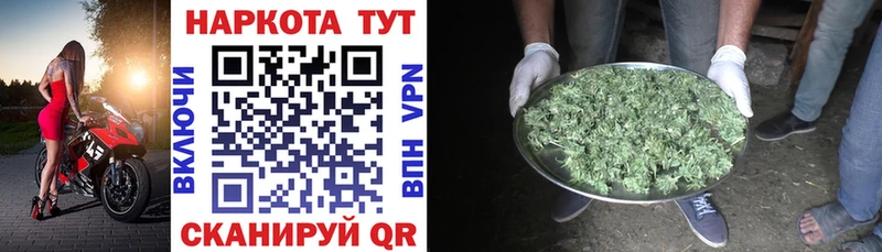 Купить наркотик аптеки Шали ссылка на мегу маркетплейс Гашиш Кокаин Амфетамин