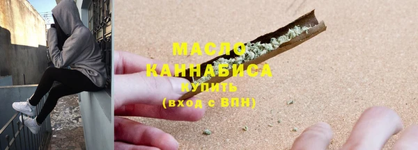 индика Яранск